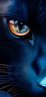 Closeup of a black cat's eye with intense detail.