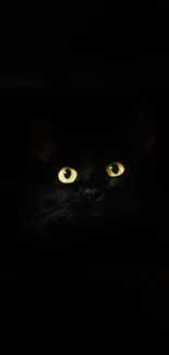 Mystical black cat with glowing yellow eyes on a dark background.