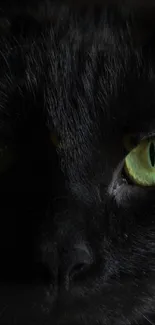 Close-up of a black cat's glowing green eyes in a dark setting.