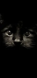 Dark themed wallpaper featuring a mysterious black cat with striking eyes.