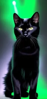 A mystical black cat with green glowing lights background.