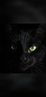 Black cat with green eyes on a dark background.