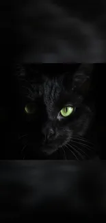 Black cat with glowing green eyes in dark wallpaper.