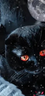 Black cat with glowing eyes under a moonlit night sky.