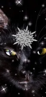 Mystical black cat with shimmering stars on a dark background wallpaper.