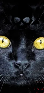 Close-up of a black cat with golden eyes and gothic elements.