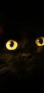 Mystical black cat with glowing yellow eyes on a dark background.