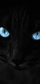 A black cat with blue eyes on a dark background, ideal for mobile wallpaper.