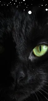 Dark black cat with green eyes in a mysterious setting.