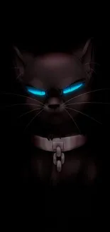 A black cat with glowing blue eyes against a dark background.