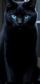 Black cat with blue eyes on a dark backdrop, exuding mystery and elegance.