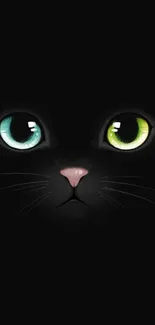 Mystical black cat with heterochromatic eyes on dark background.