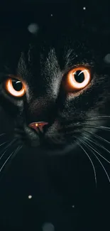 Mystical black cat with glowing eyes on a dark background wallpaper.