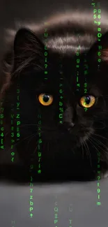 A black cat with striking yellow eyes on a dark background.