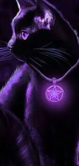 Mystical black cat with purple glow and pentacle amulet.