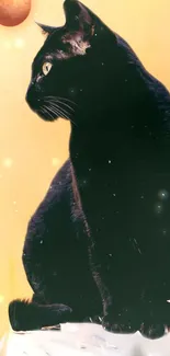 A mystical black cat on a glowing yellow background with stars and a small moon.