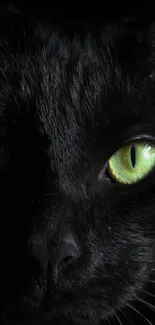 Close-up of a black cat with striking green eyes.