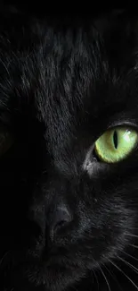 Close-up of a black cat's face with striking green eyes.