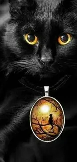 Black cat with amber eyes and a mystical pendant in dark setting.