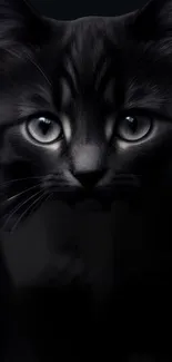 A sleek black kitten with striking eyes in a dark, mystical mobile wallpaper.