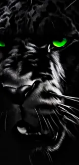 Black panther with glowing green eyes on a dark background.