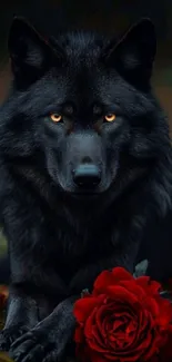 Black wolf with piercing eyes and red rose on dark background.