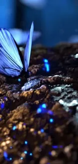 Blue butterfly in glowing mystical setting.