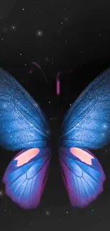 Dark background featuring a glowing blue butterfly with vibrant wings.