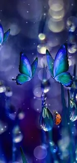 Blue butterflies with bokeh background in nature-themed wallpaper.