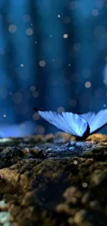 A mystical blue butterfly rests in a serene forest setting.