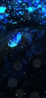 Glowing blue butterfly on rock with twinkling lights.