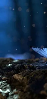 Mystical blue butterfly glowing in dark forest setting.