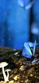 Mystical blue butterflies with glowing mushrooms in a forest scene.