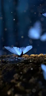 Ethereal blue butterflies in a mystical forest scene at night.