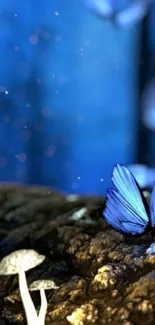 Blue butterfly resting in a mystical forest setting.