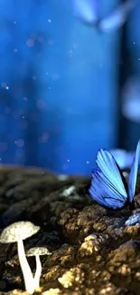 Blue butterfly rests near glowing mushrooms in a mystical forest scene.