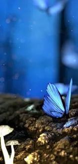 Mystical blue butterfly on forest floor with glowing mushrooms.