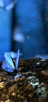 Mystical blue butterfly resting on illuminated rocks in a forest.