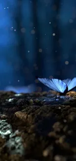 A mystical blue butterfly in a dreamy forest setting for mobile wallpaper.