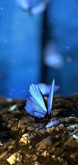 A mystical blue butterfly rests in a serene forest environment.