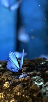 Mystical blue butterfly on textured forest floor.