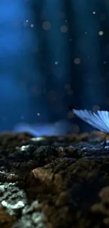 Blue butterfly resting on forest floor with mystical lights.