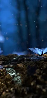 Mystical blue butterflies in dark forest wallpaper with sparkling lights.