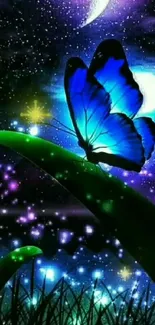 Blue butterfly on leaf with a starry night sky.