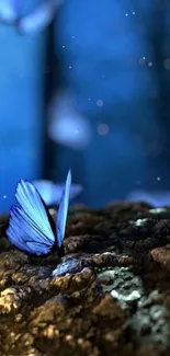 A mystical blue butterfly on a rocky surface with a dark, enchanting background.