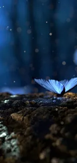 Mystical blue butterfly in a glowing dark forest.