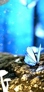 Blue butterfly resting on a forest floor amid moonlight.