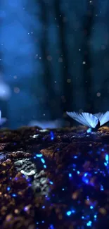 Mystical blue butterfly on forest floor wallpaper.