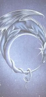 Mystical silver dragon on a sky blue background.