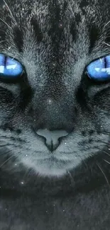 Close-up of a mystical cat with striking blue eyes.